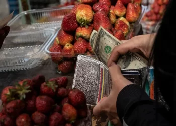 OVF: Febrero registró alza significativa en la tasa de inflación, ubicándose en 12,8%