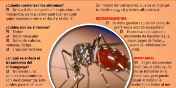 Repunte de chikungunya en Caracas obliga a reforzar previsiones