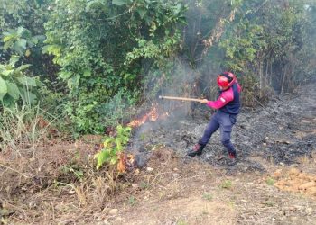Bomberos sofocaron incendios forestales y de desechos en Trujillo