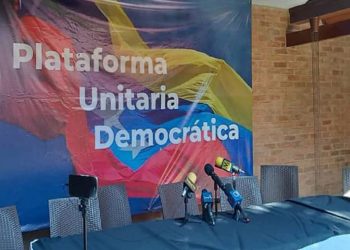 PUD: Ratificamos disposición para contribuir a una transición democrática, pacífica y ordenada
