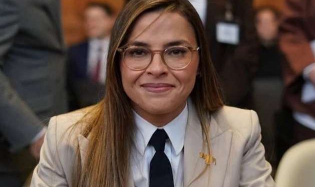 Arianny Seijo: En Ginebra prevalece la  decisión judicial ajena a la Constitución