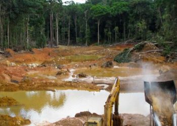 La FANB realiza un gran operativo militar en zonas mineras de Bolívar