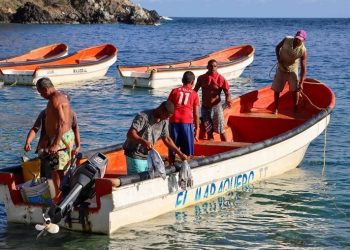 Pescadores artesanales de La Guaira reactivan actividades