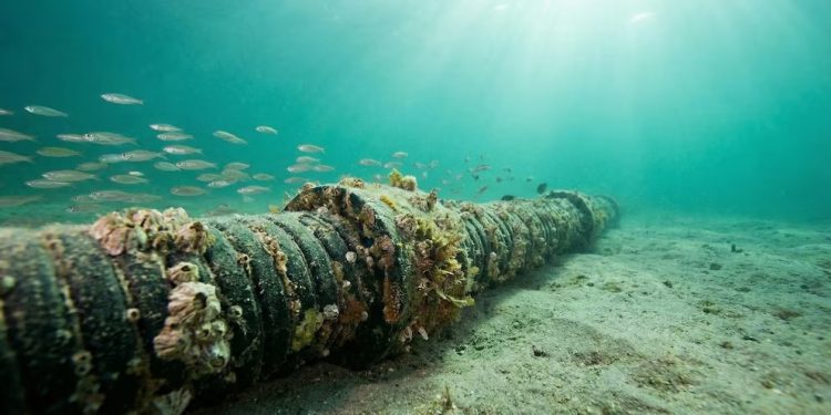 Iniciaron labores técnicas sobre el cable submarino afectado en los terremotos del 24 de junio