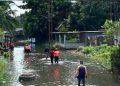 Desborde del río Orinoco obliga a desalojar a 30 familias