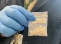 El ISO es la droga más fuerte que el Fentanilo