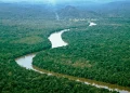 Reino Unido anunció financiamiento a proyectos de investigación para proteger el medio ambiente de la Amazonía venezolana