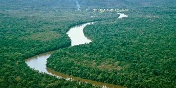 Reino Unido anunció financiamiento a proyectos de investigación para proteger el medio ambiente de la Amazonía venezolana