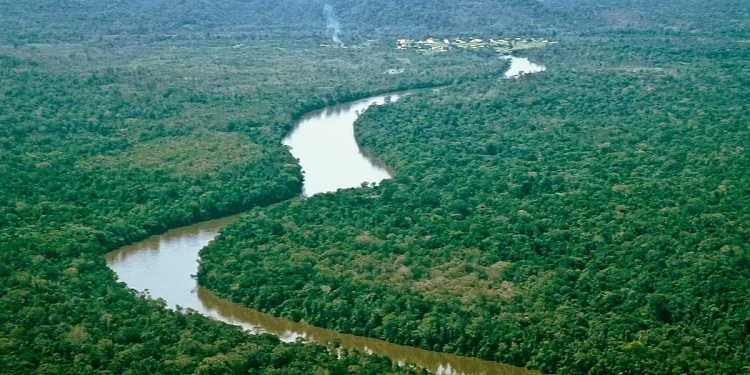 Reino Unido anunció financiamiento a proyectos de investigación para proteger el medio ambiente de la Amazonía venezolana