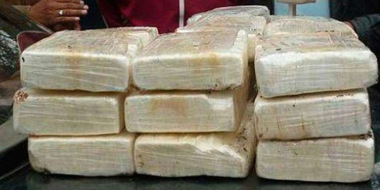 Militares incautan en Falcón 1.735 panelas de drogas