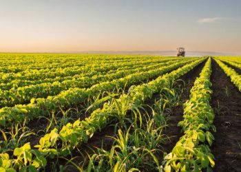 Anuncian eliminación del CLV para el registro de productos de uso agrícola, industrial, de salud pública o doméstica