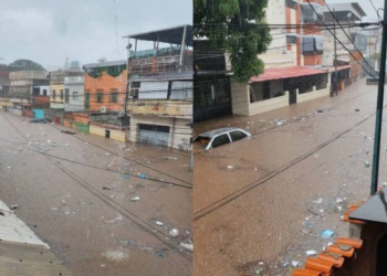 Anegaciones y caídas de árboles por lluvias en Caracas y Altos Mirandinos