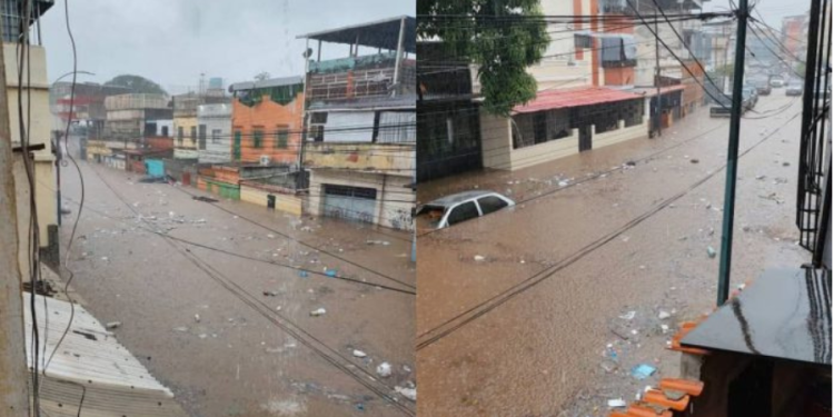 Anegaciones y caídas de árboles por lluvias en Caracas y Altos Mirandinos
