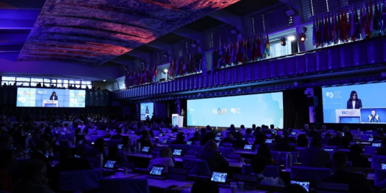 Venezuela denuncia en la FAO el impacto de bloqueos económicos en la desnutrición global